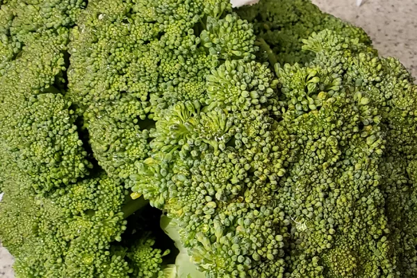 Broccoli